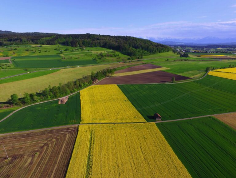 Vue aérienne d'une région agricole avec champs cultivés de différentes couleurs, incluant des champs jaunes de colza, des champs verts et des terres labourées brunes, séparés par des routes sinueuses et des bandes boisées, avec des montagnes enneigées visibles à l'horizon et un petit village en arrière-plan sous un ciel bleu dégagé.